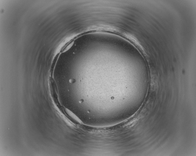 X0000061731040200512091540