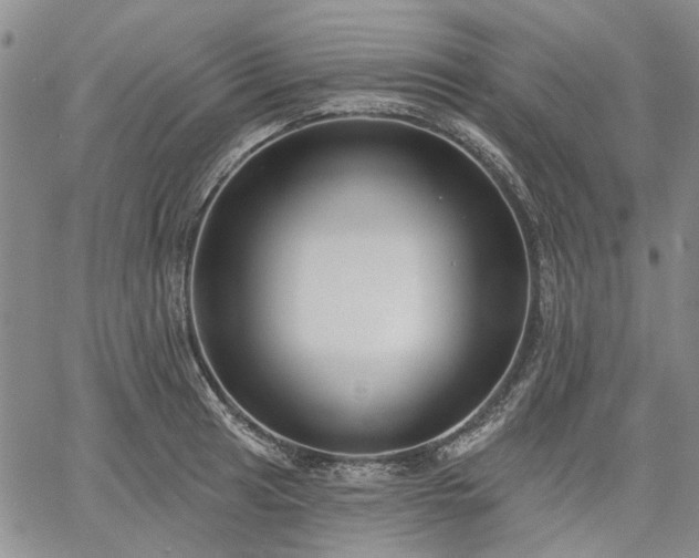 X0000061731041200512091540