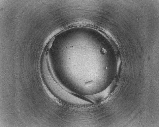 X0000061731042200512091540