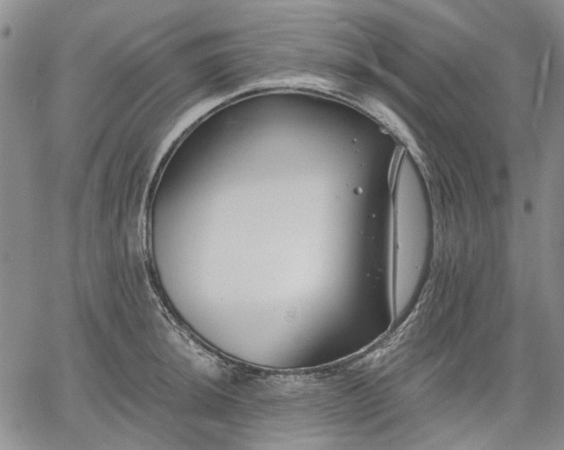 X0000061731044200512091540