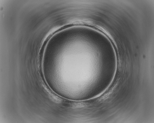 X0000061731045200512091540