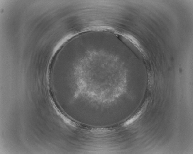 X0000061731046200512091540