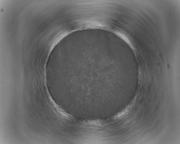 X0000061731047200512091540