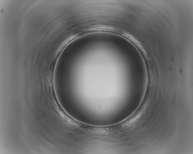 X0000061731049200512091540