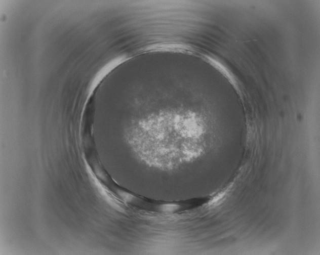 X0000061731050200512091540