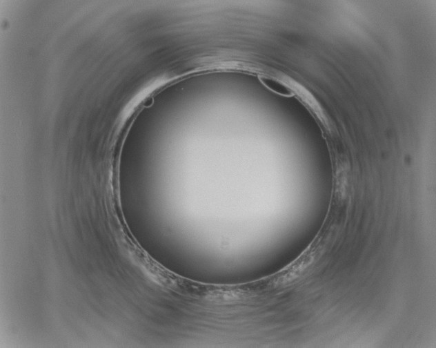 X0000061731051200512091540