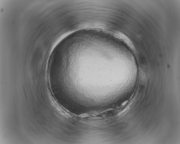 X0000061731052200512091540