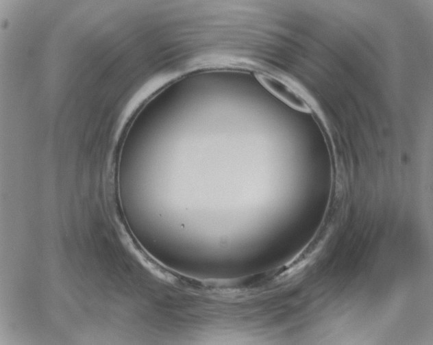 X0000061731053200512091540