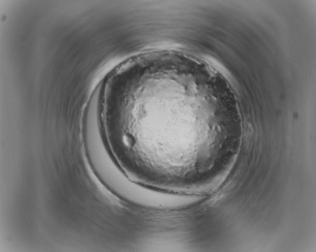 X0000061731055200512091540