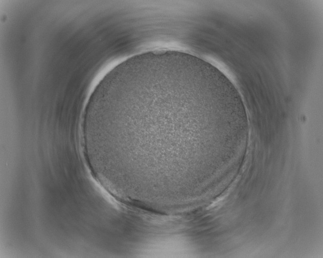 X0000061731056200512091540