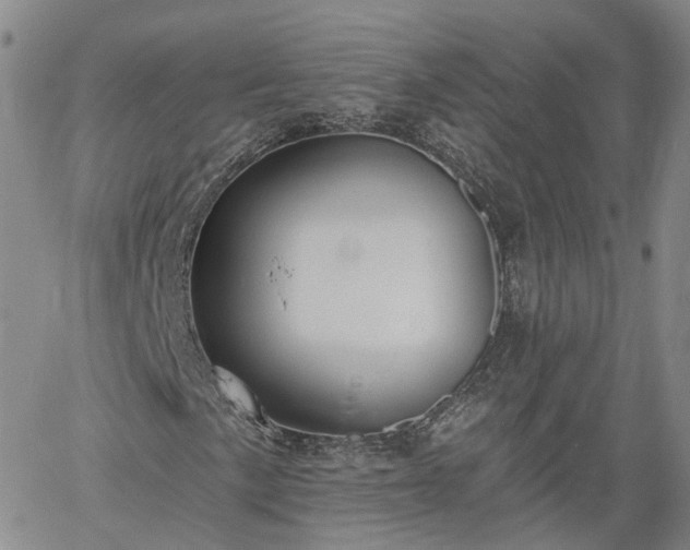 X0000061731057200512091539