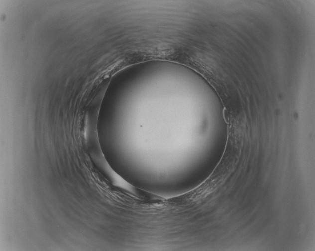 X0000061731058200512091539