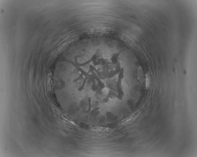 X0000061731059200512091539