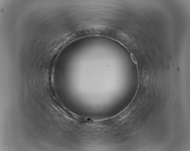 X0000061731061200512091539