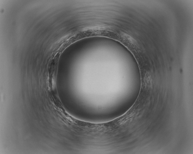 X0000061731062200512091539