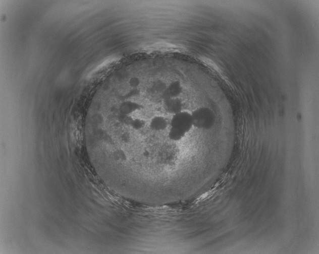 X0000061731063200512091539