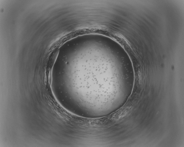 X0000061731064200512091539