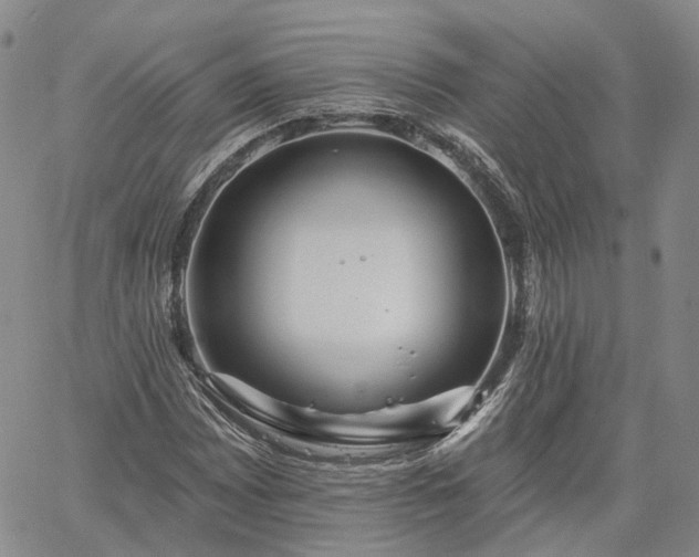 X0000061731065200512091539