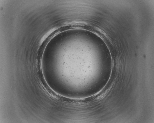 X0000061731066200512091539