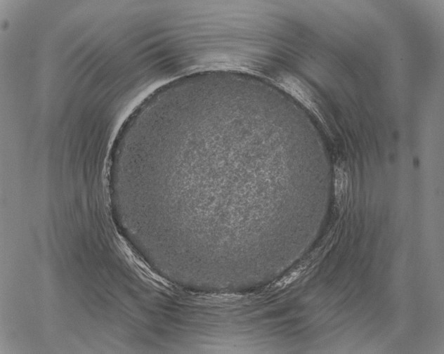 X0000061731068200512091539