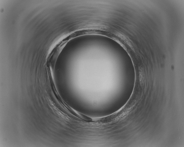 X0000061731069200512091539