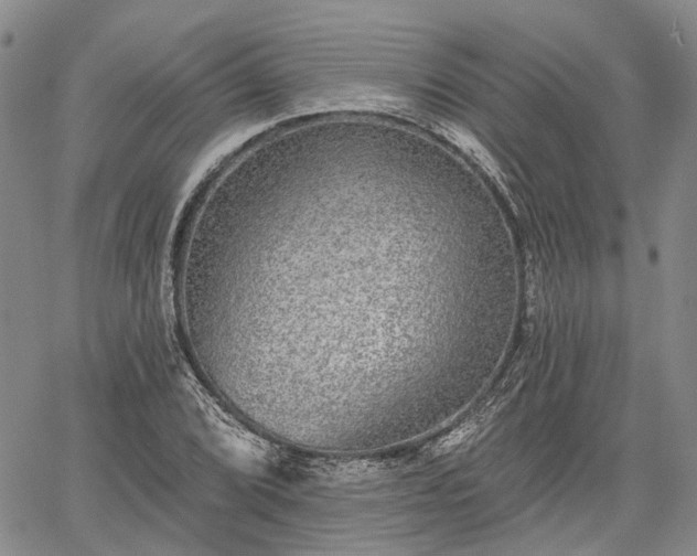 X0000061731072200512091539