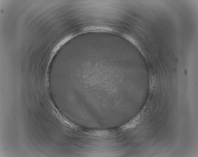 X0000061731074200512091539