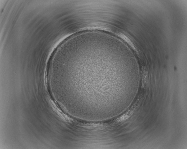 X0000061731076200512091539