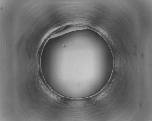 X0000061731078200512091539