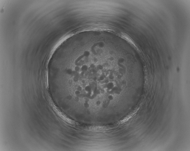 X0000061731079200512091539