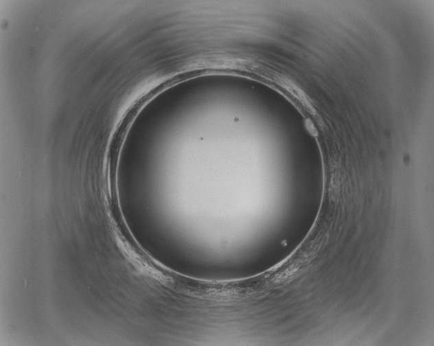 X0000061731080200512091539