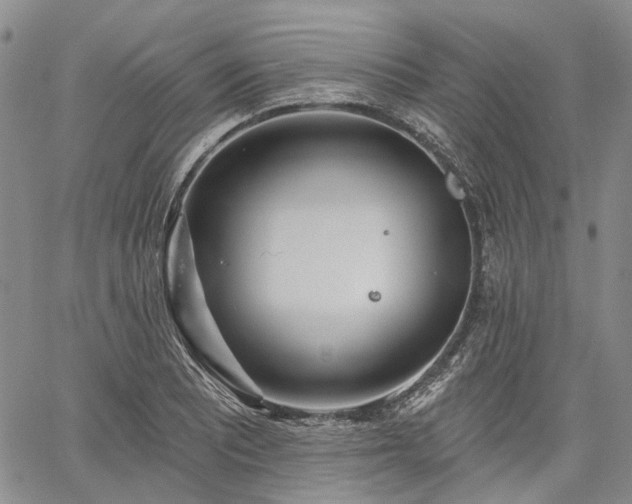 X0000061731081200512091539