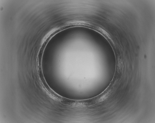 X0000061731082200512091539