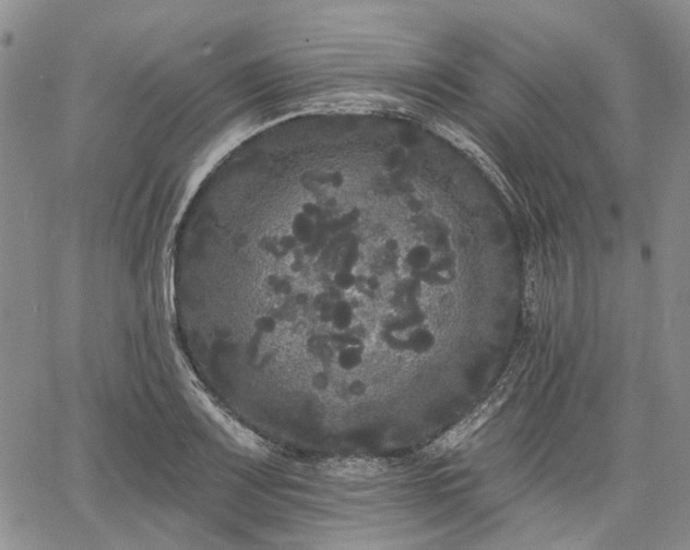 X0000061731083200512091539