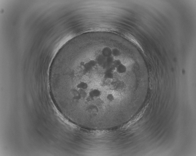 X0000061731087200512091539