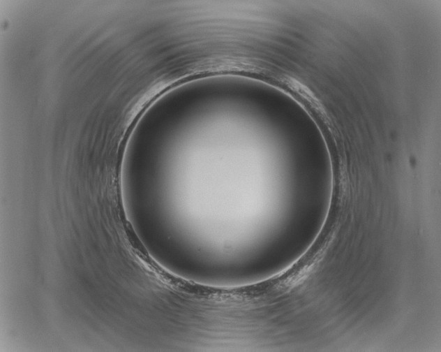 X0000061731089200512091539