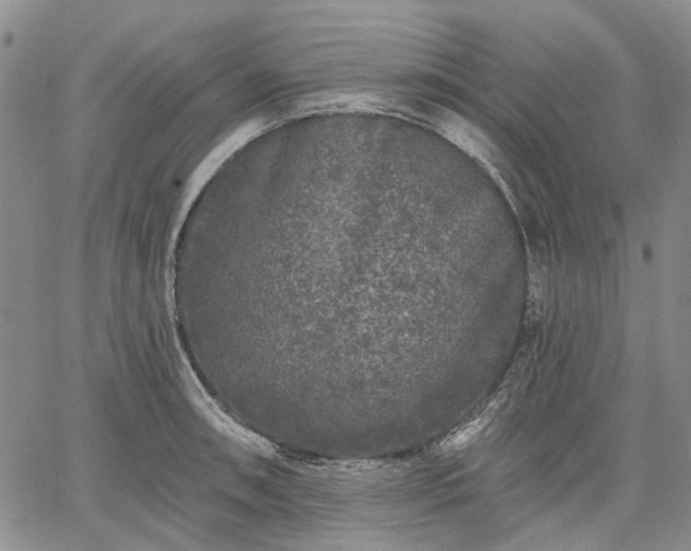 X0000061731090200512091539