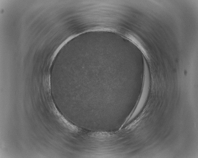 X0000061731092200512091539