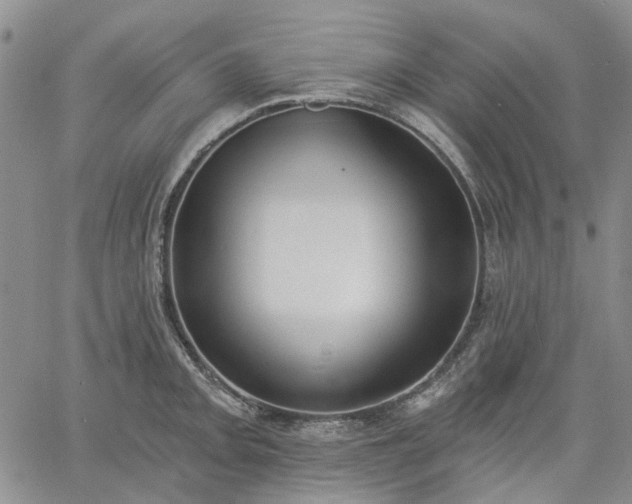 X0000061731093200512091539