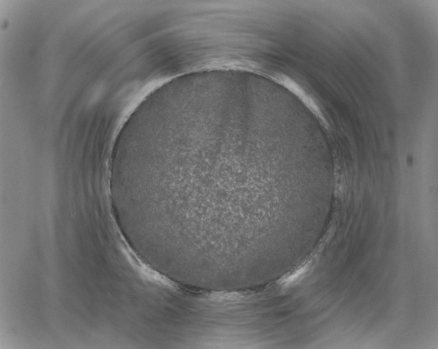 X0000061731094200512091539