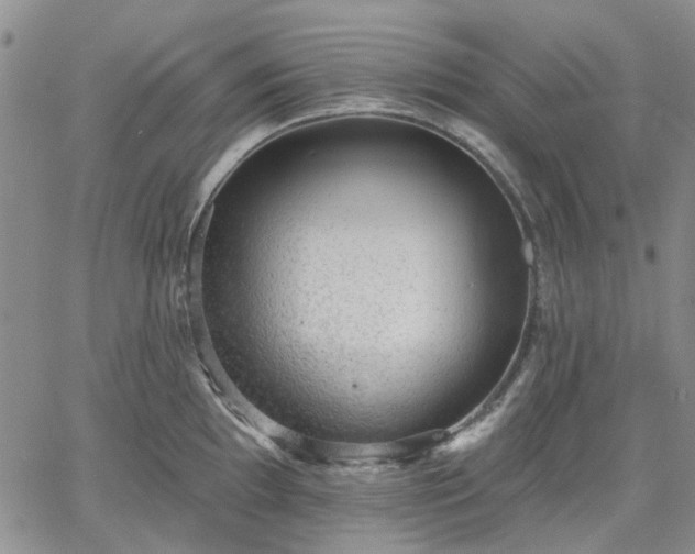 X0000061731097200512091539