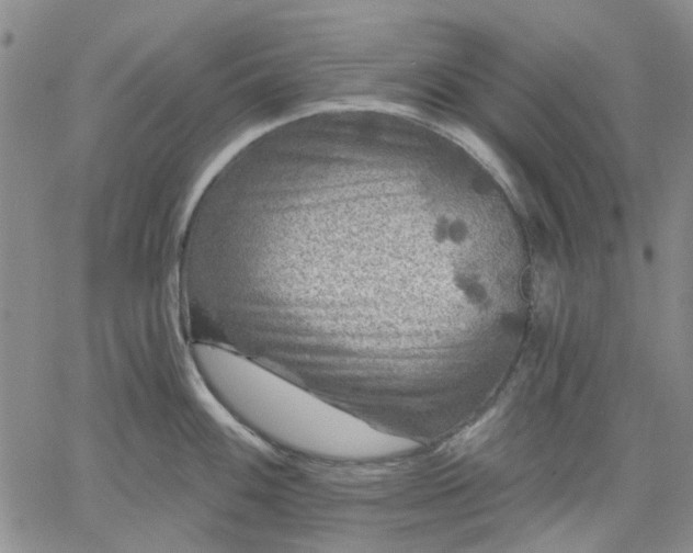 X0000061731100200512091539