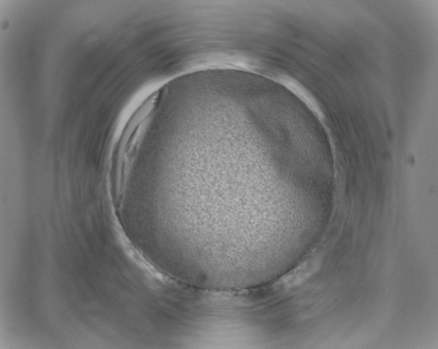 X0000061731104200512091539