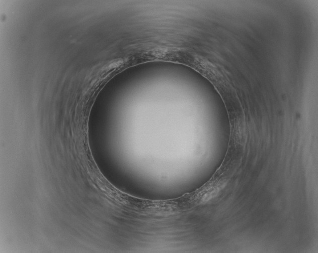 X0000061731105200512091538