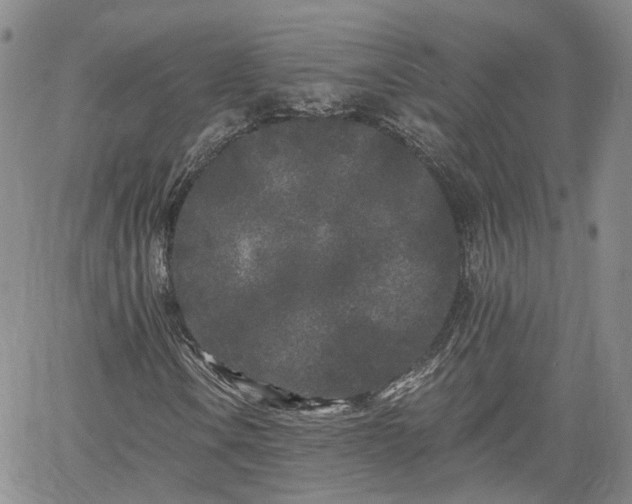 X0000061731106200512091538