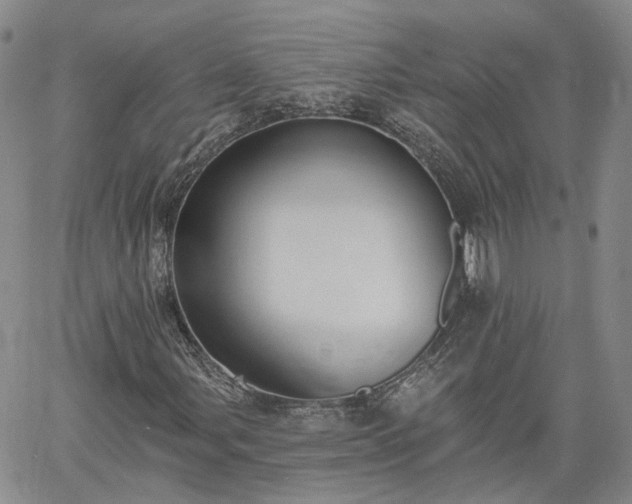 X0000061731107200512091538