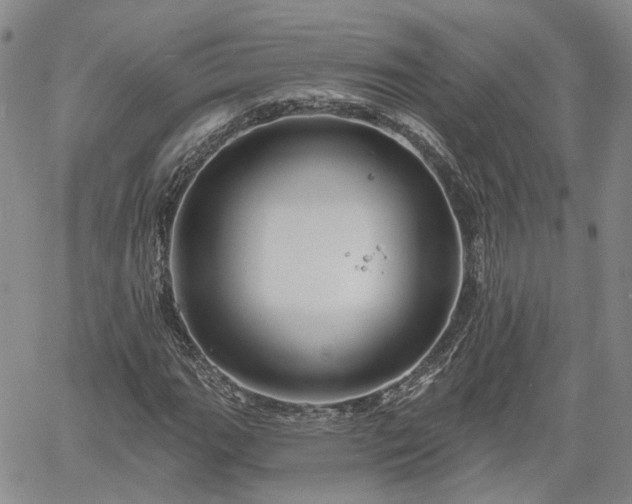 X0000061731111200512091538