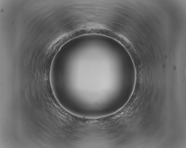 X0000061731112200512091538