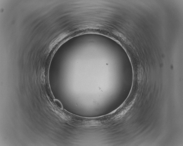 X0000061731113200512091538