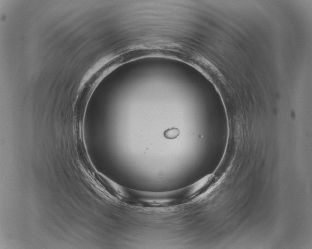 X0000061731114200512091538